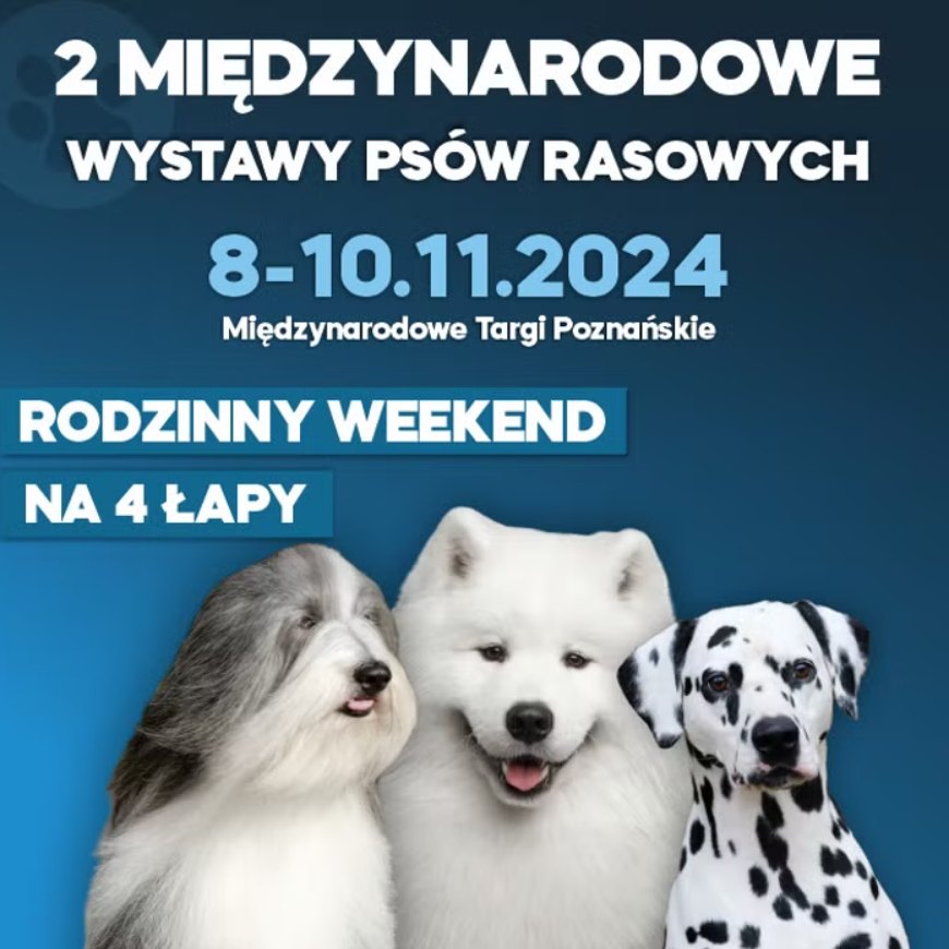 Międzynarodowe Wystawy Psów Rasowych - grafika artykułu