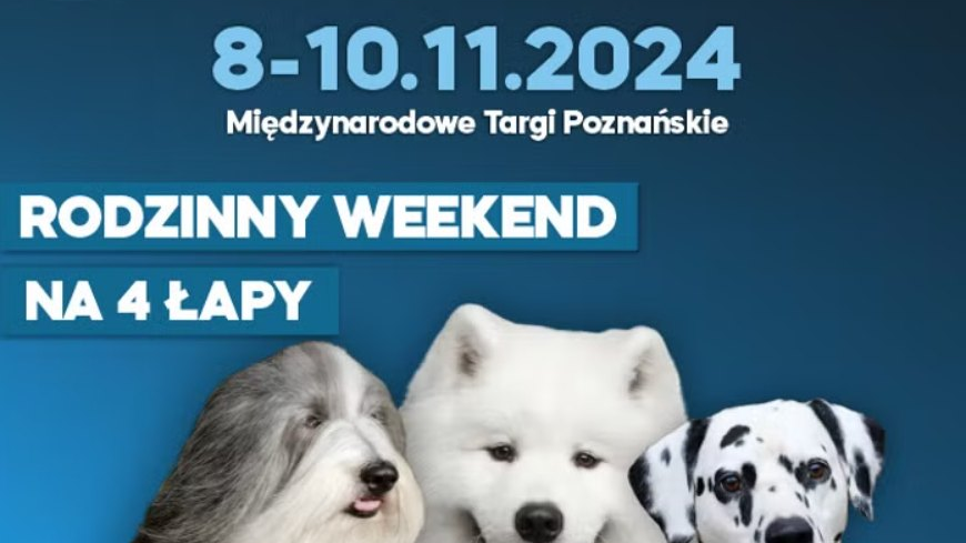 Międzynarodowe Wystawy Psów Rasowych