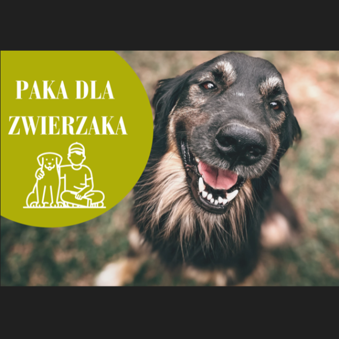 "Paka dla zwierzaka" - grafika artykułu