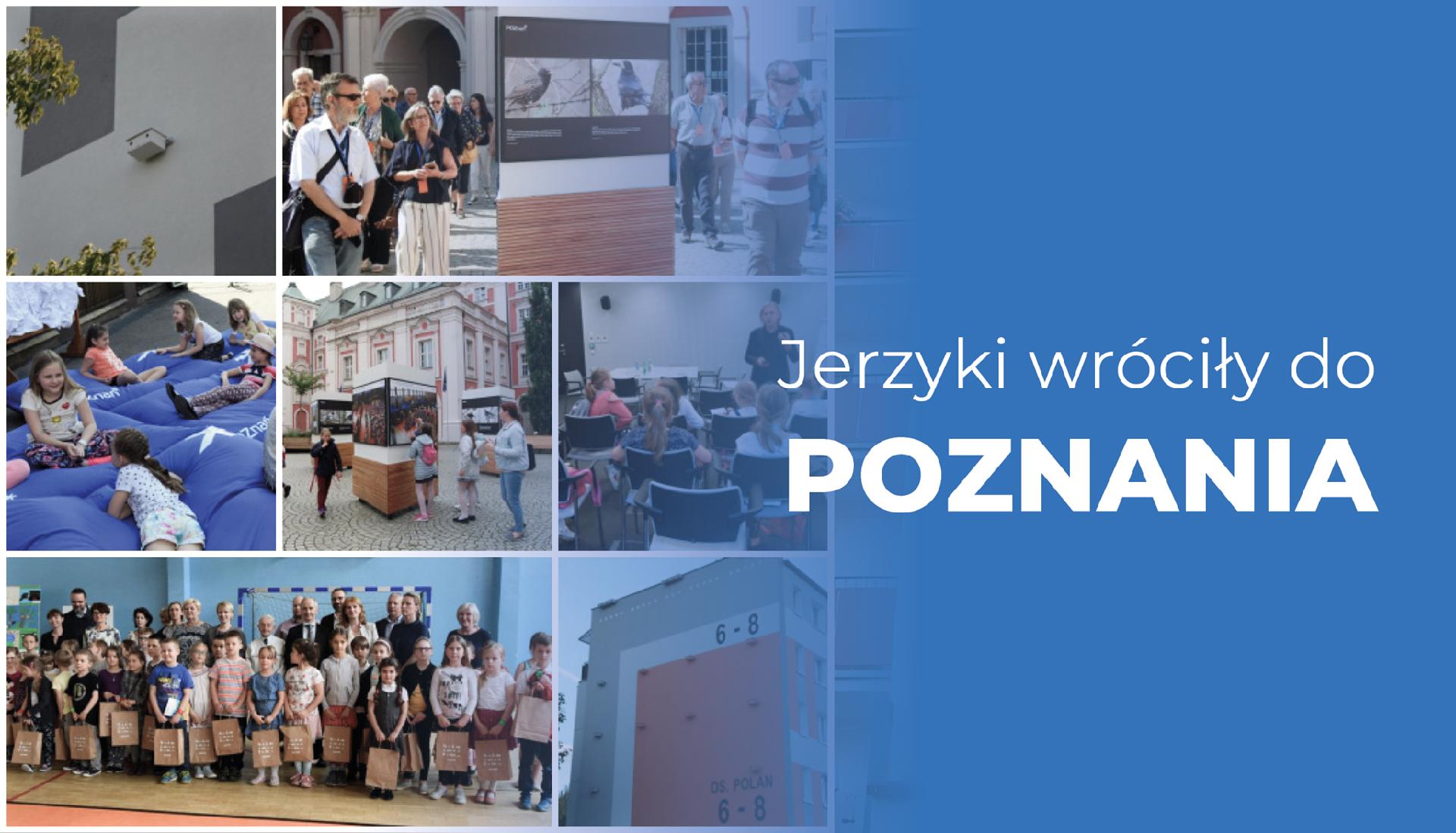 Miejski program ochrony jerzyków zakłada szeroką współpracę ze szkołami, ekspertami, przyrodnikami, społecznikami oraz inwestorami i architektami/zdjęcia archiwalne - grafika artykułu