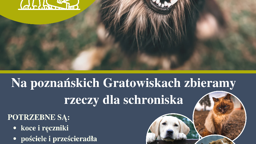 Grafika opisuje akcję zbiórki karmy dla zwierząt "Paka dla zwierzaka"