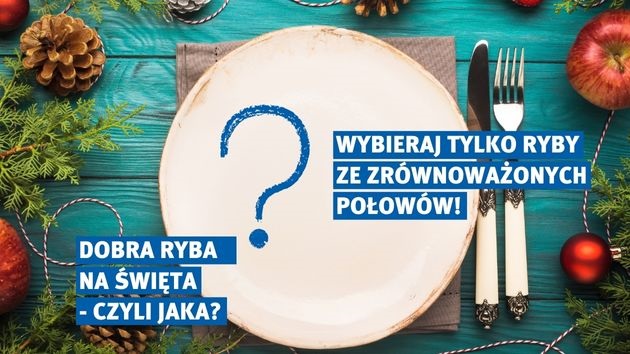 Plakat promujący wybór ryb na święta ze zrównoważonych połowów. Na deskach pomalowanych na turkusowo ustawiono talerz i sztućce, dookoła świąteczne akcety i napisy informujące o wyborze ryb ze zrównoważonych połowów. - grafika artykułu