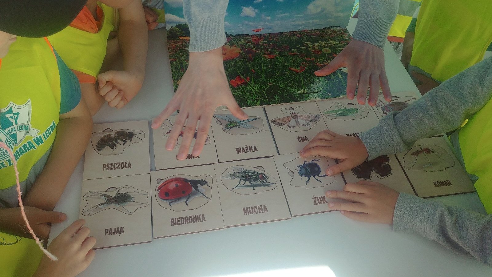 Rozłożona na stole gra edukacyjna przedstawiająca owady żyjące na łąkach. Wokół stołu stoją dzieci