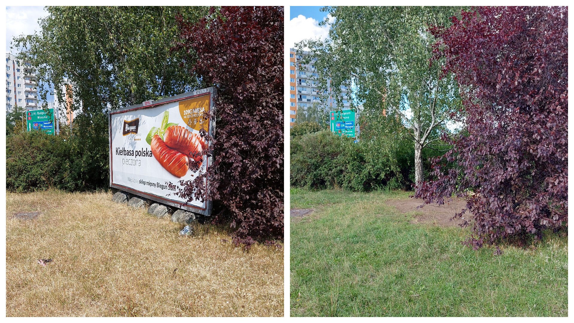 Kolaż zdjęć: po lewej stronie widać fragment trawnika, na którym stoi wielkoformatowa reklama. Po prawej widać ten sam kadr, jednak bez nośnika reklamy na trawniku.