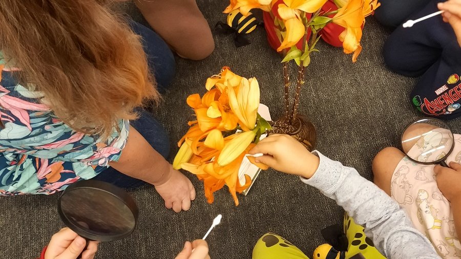 Warsztaty dla rodzin z dziećmi "W mikroświecie zapylaczy i roślin - poszukiwania i obserwacje" - uczestnicy warsztatów szukaja pyłku na kwiatach