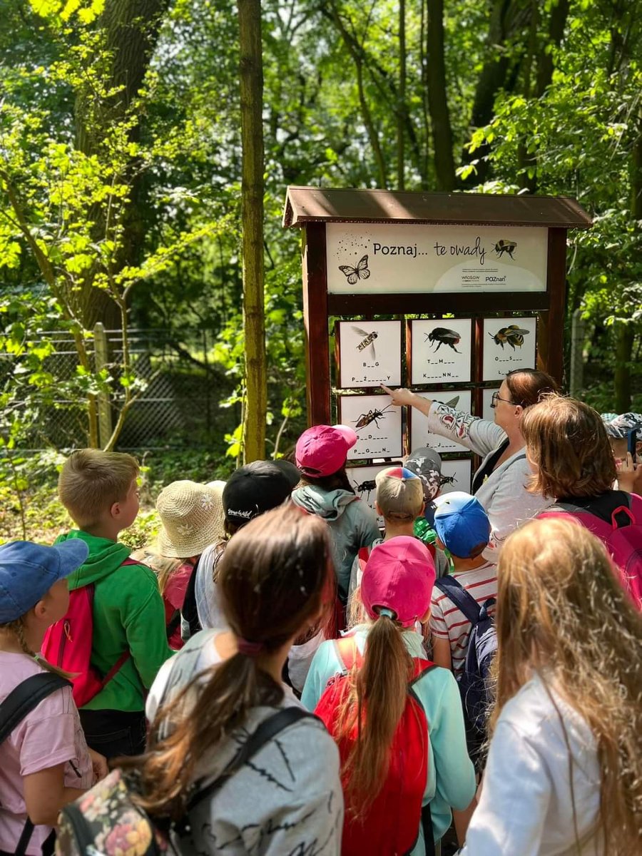 Dzieci korzystające ze ścieżki edukacyjno-przyrodniczej - grafika artykułu