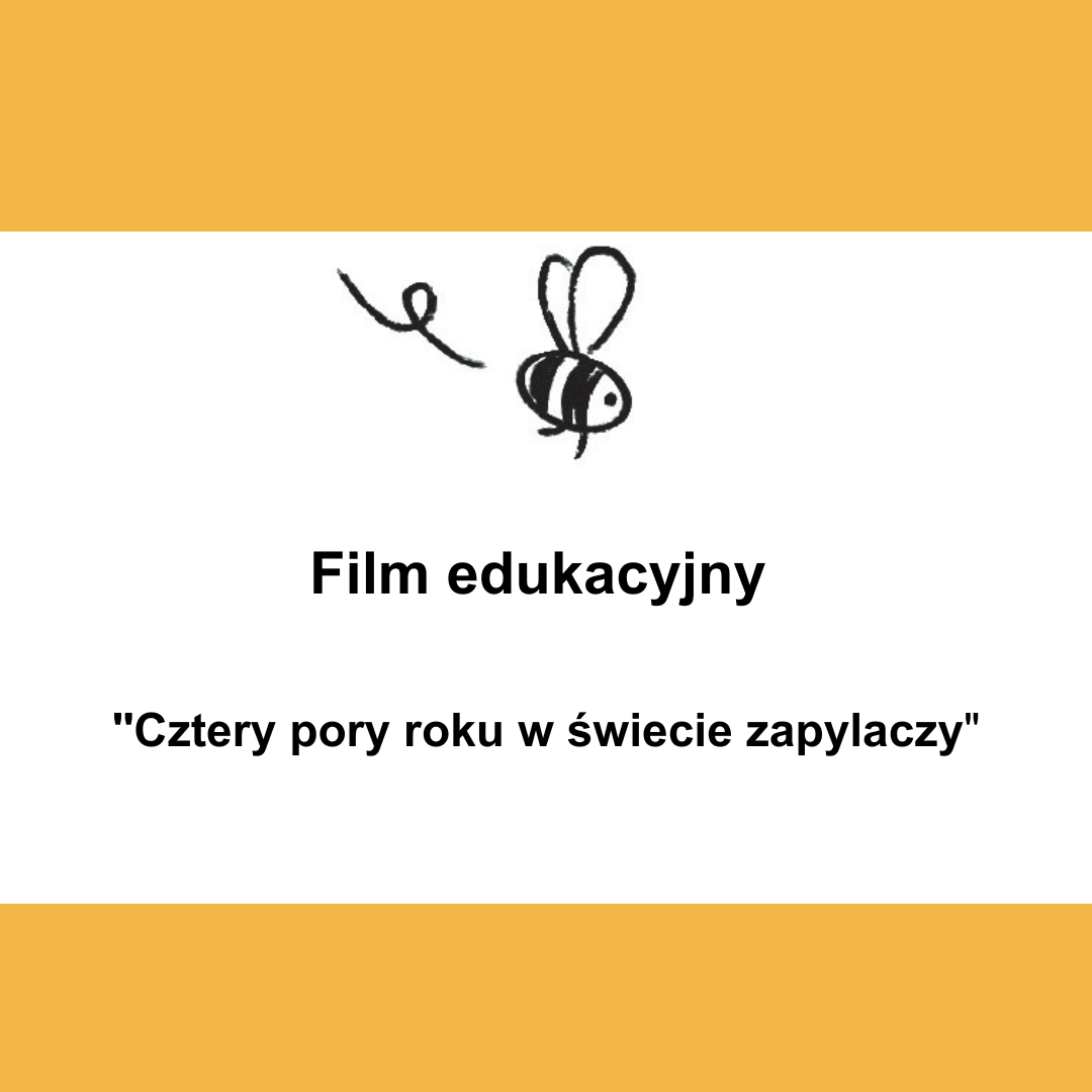 Grafika z napisem Film edukacyjny Cztery pory roku w świecie zapylaczy - grafika artykułu