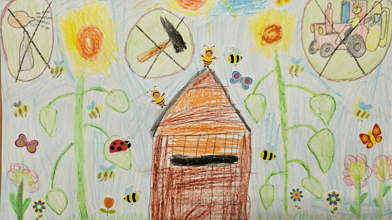 Praca konkursowa przedstawia sposoby pomagania owadom oraz zagrożenia.