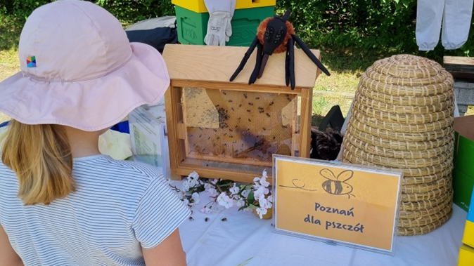 Stoisko edukacyjne o pszczołach