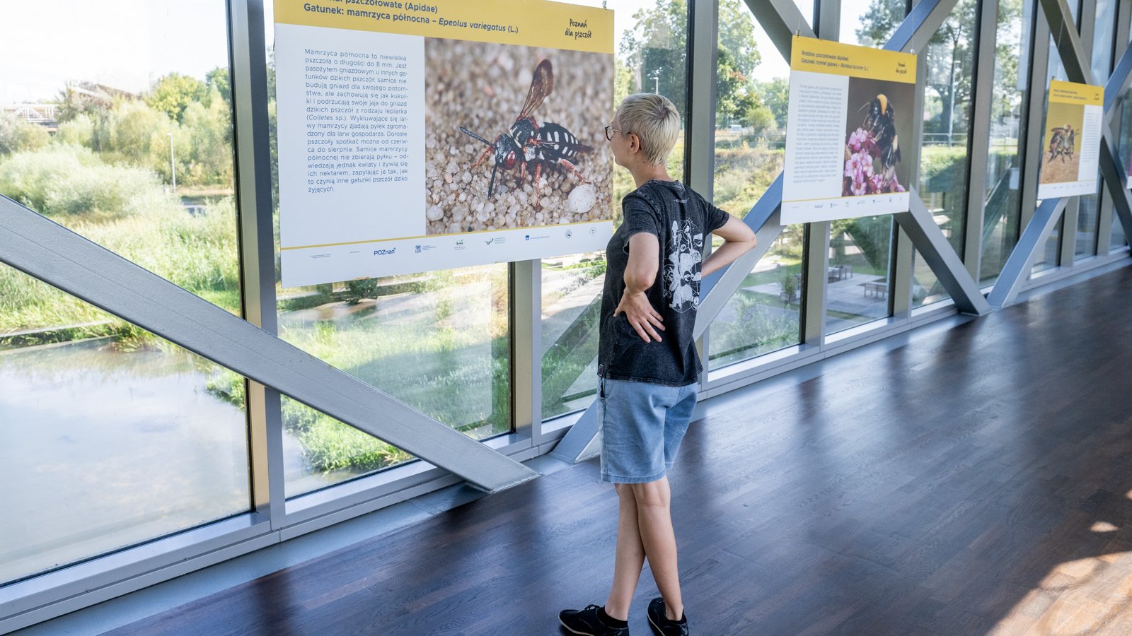 Wystawa edukacyjna w Bramie Poznania (fot. Łukasz Gdak)