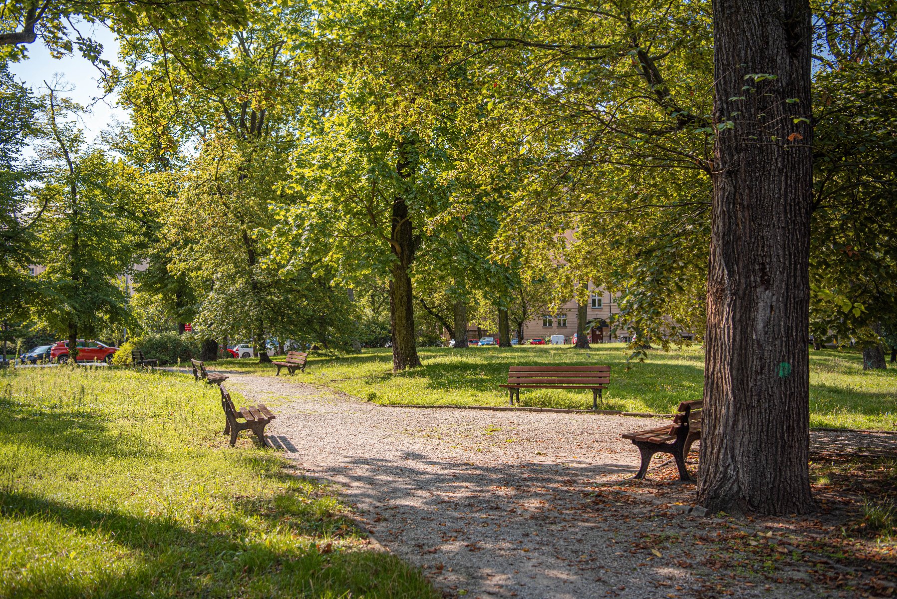 Zdjęcie 11 - Park Wieniawskiego