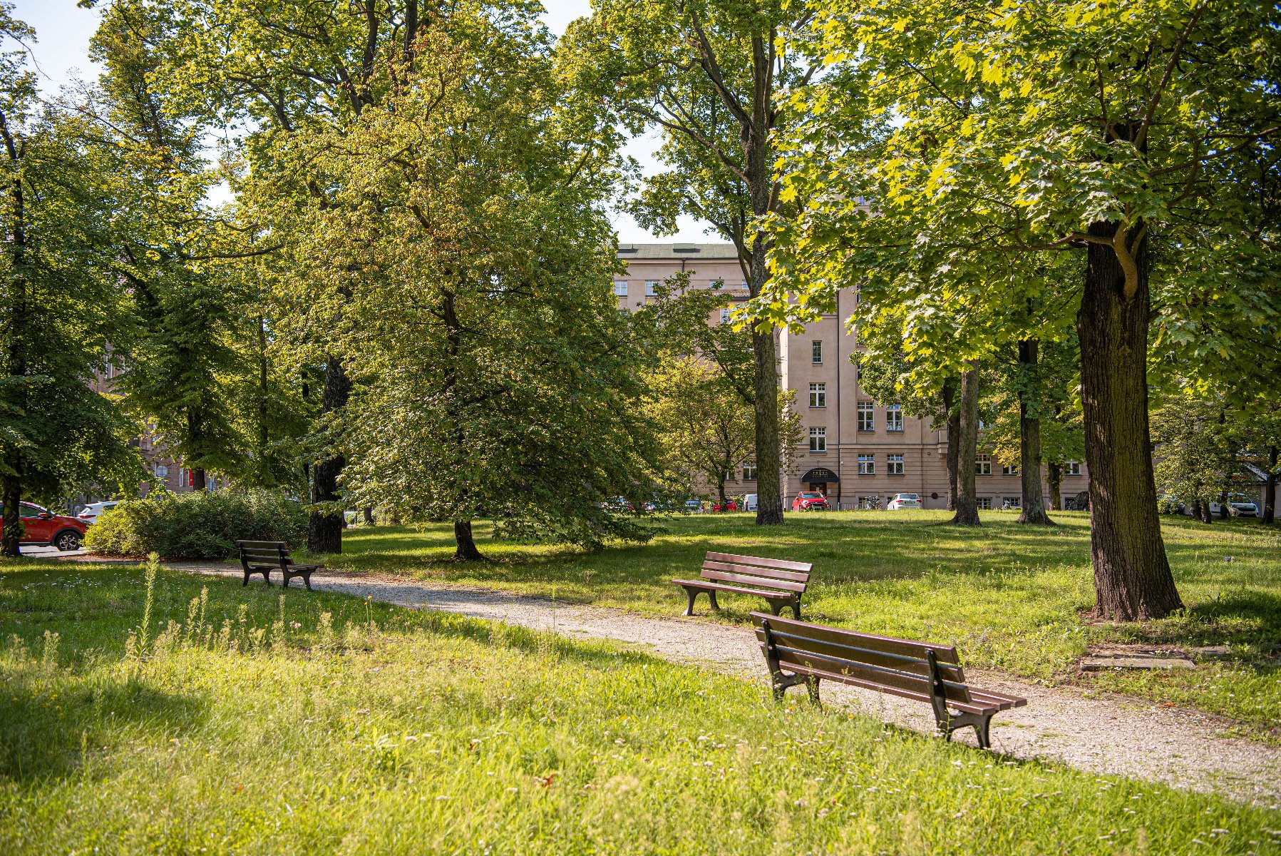 Zdjęcie 13 - Park Wieniawskiego