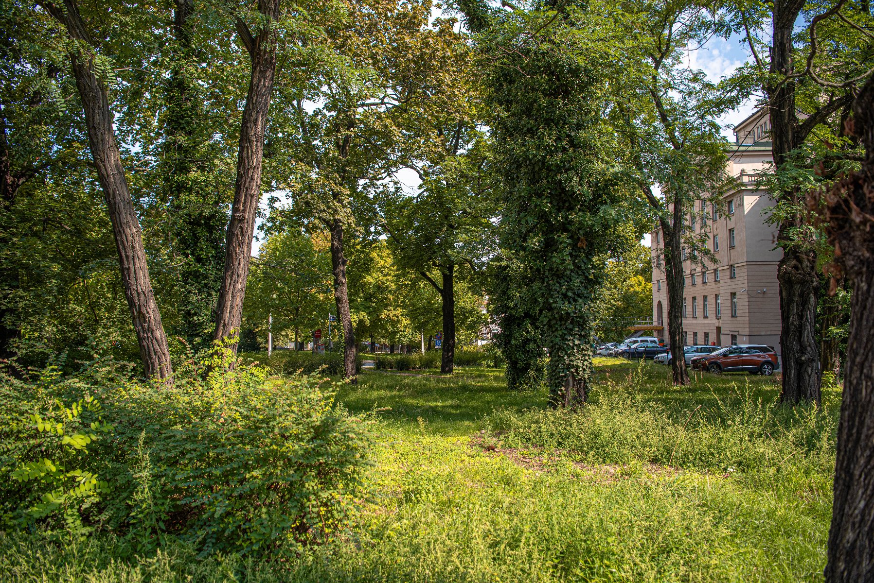 Zdjęcie 15 - Park Wieniawskiego