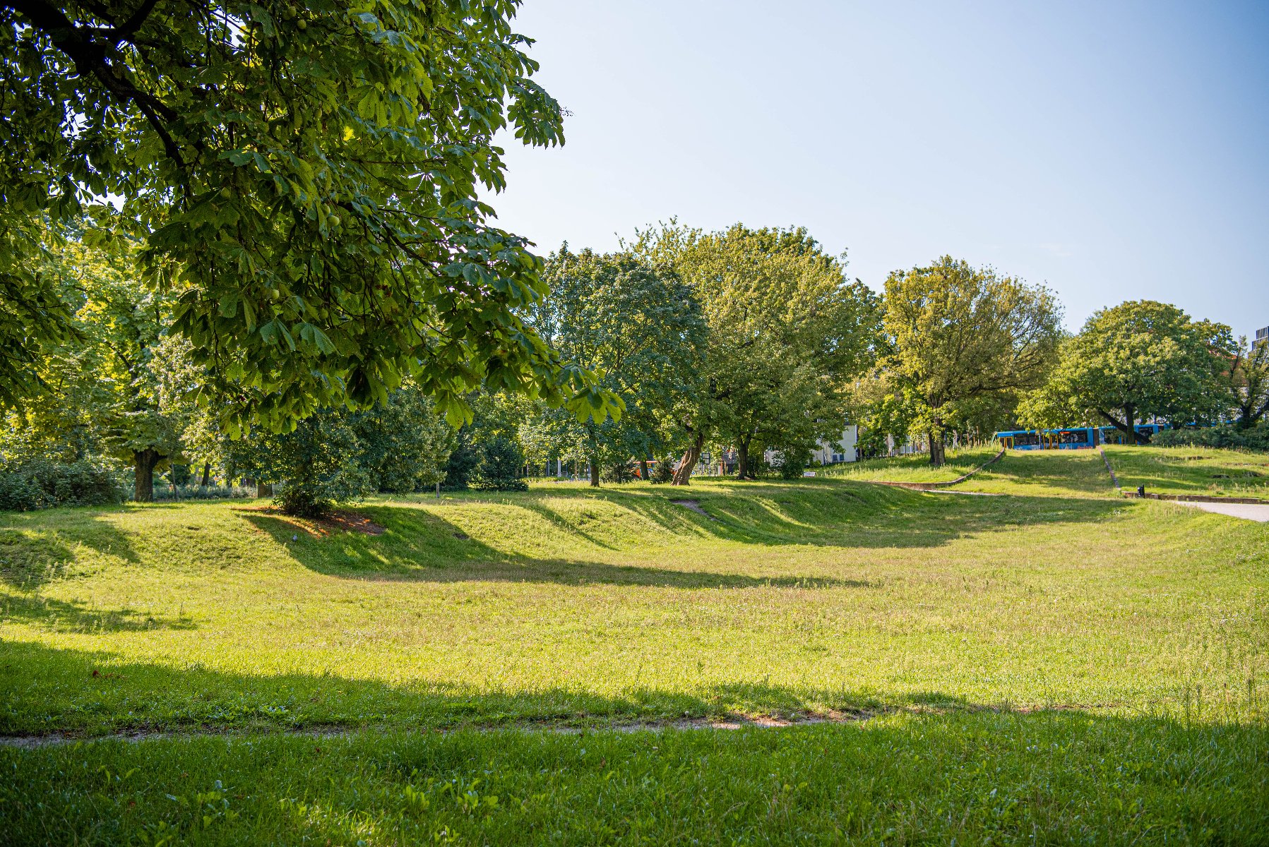 Zdjęcie 7 - Park Wieniawskiego