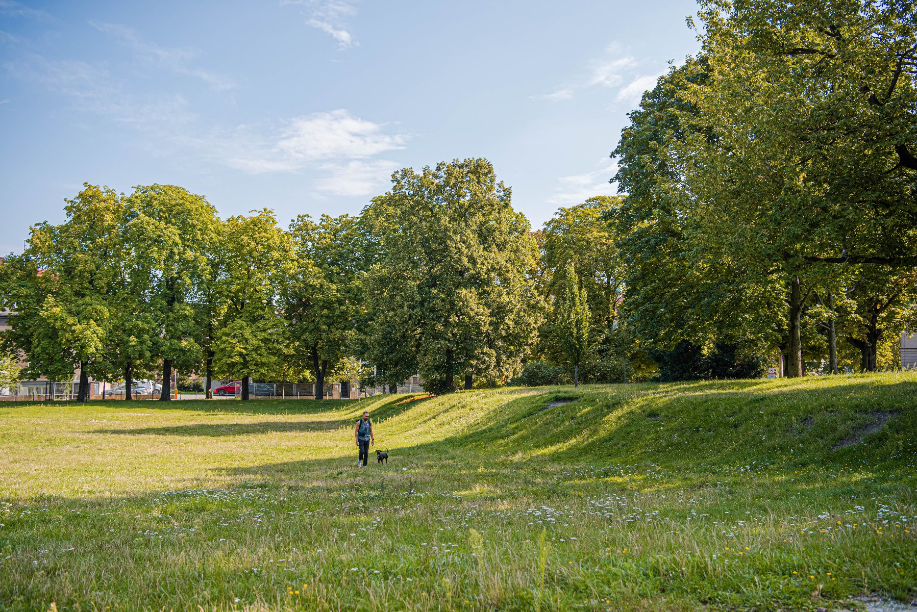 Zdjęcie2 - Park Wieniawskiego