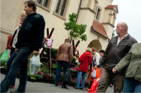 Zielony Targ na Rynku Wildeckim