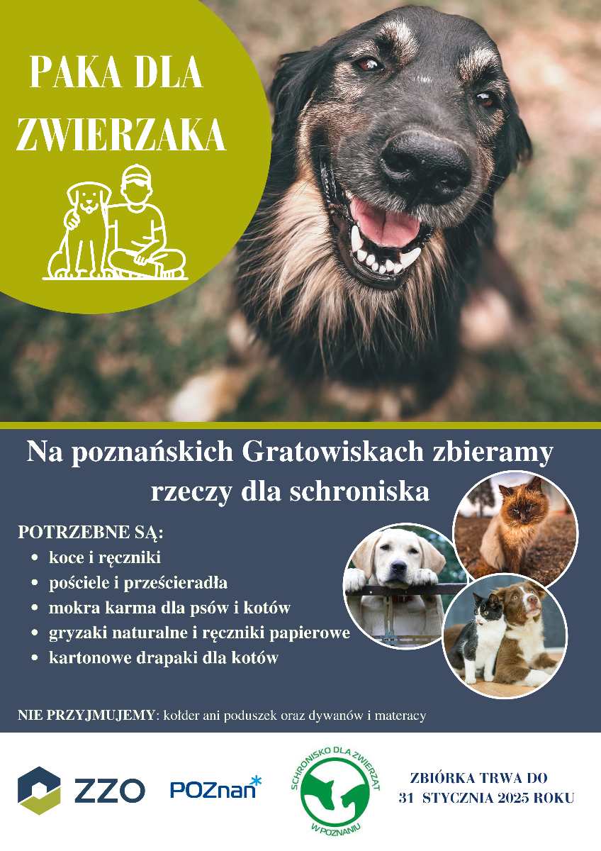 "Paka dla zwierzaka" - grafika artykułu