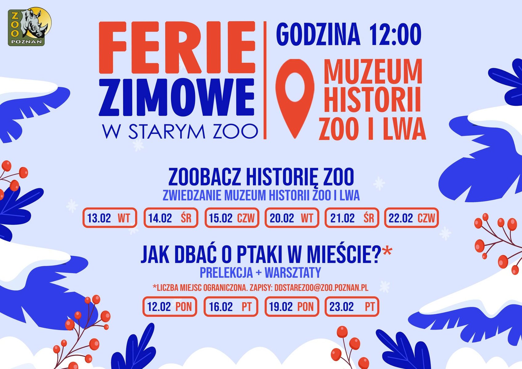 Plakat przedstawia repertuar na ferie zimowe w 2024 w Starym ZOO. - grafika artykułu