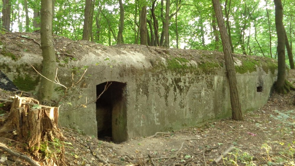 Schron betonowy z 1913 r. z ciekawym stropem wspartym na szynach kolejowych, fot. Adam Suwart © Wydawnictwo Miejskie Posnania