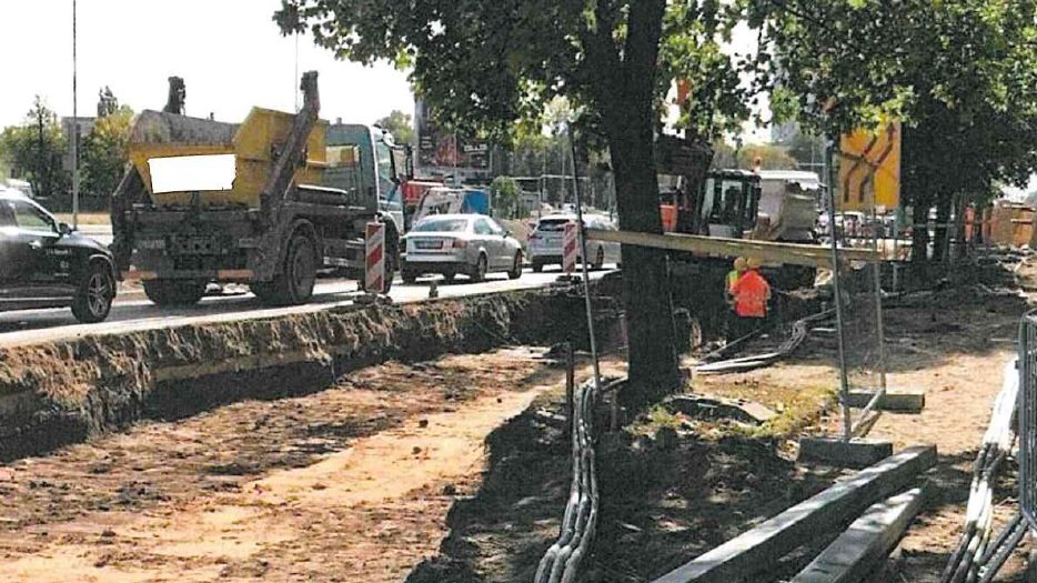 Drzewo na placu budowy w rejonie Ronda Rataje, fot. RMP