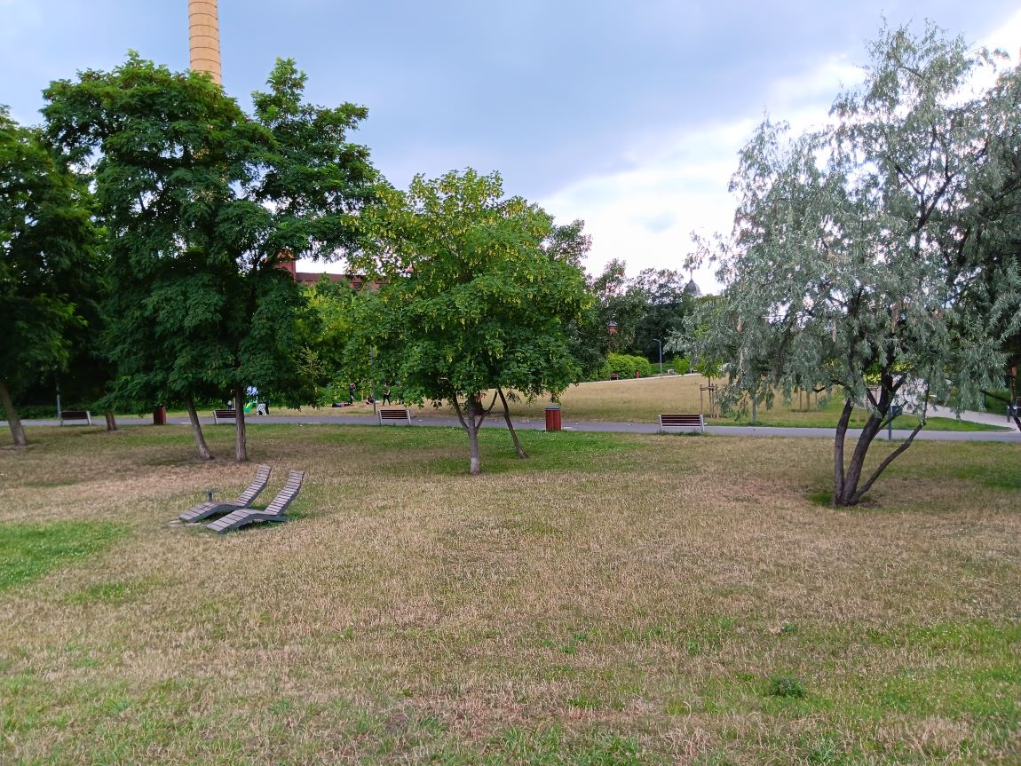Park, drzewa, duża przestrzeń trawnika, ławki - grafika artykułu