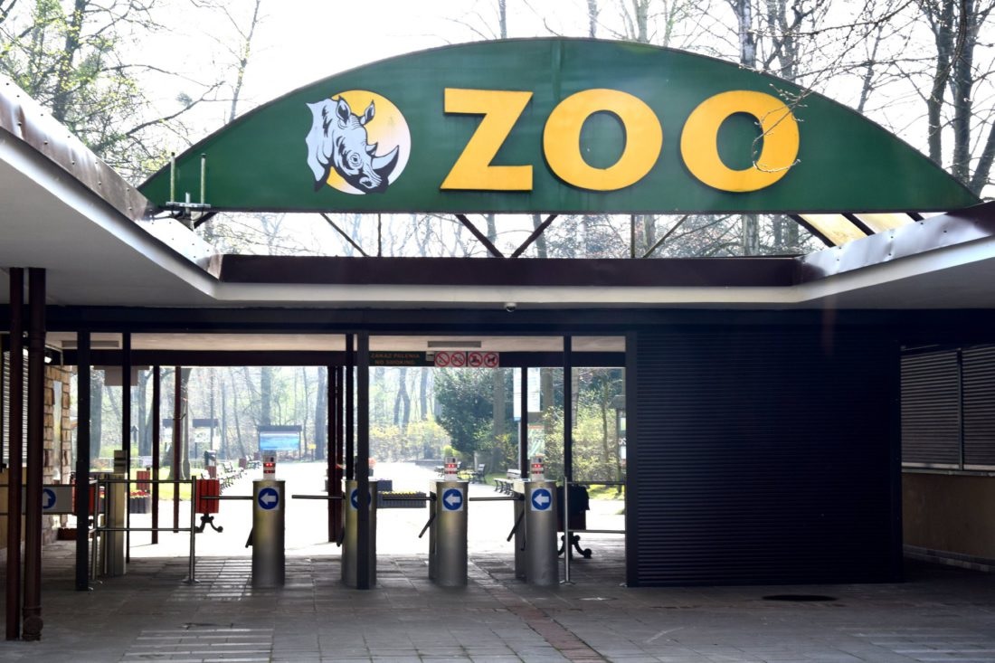 wejście do ogrodu zoologicznego, widoczne bramki wejściowe nad nimi zadaszenie, na nim napis ZOO i logo z wizerunkiem nosorożca - grafika artykułu