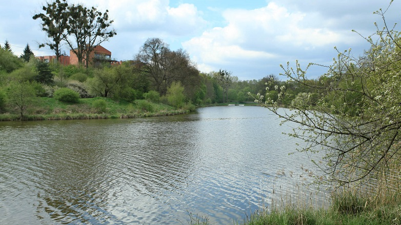 Fot. Z. Szmidt