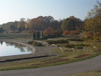 Rosarium, fot. K. Fryś Rosarium, fot. K. Fryś