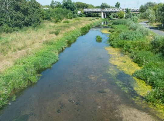 Zdjęcie fragmentu rzeki z brzegiem porośniętym zielonymi roślinami, z prawej storny ścieżka asfaltowa, w tle most. - grafika artykułu