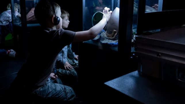 Dwoje dzieci w słuchawkach wkłada ręcę do szklanego pojemnika. Zdjęcie w bardzo ciemnej kolorystyce.