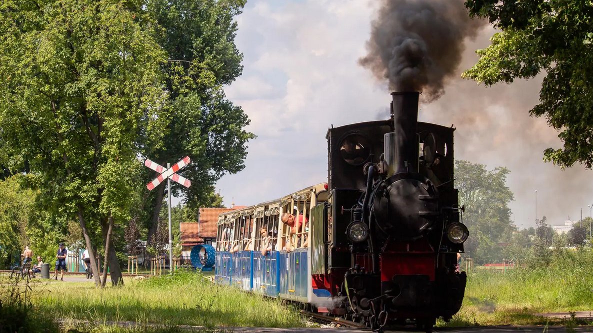 Zdjęcie, parowóz w obłokach pary ciągnie wagoniki.