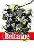 Koncert zespołu Beltaine