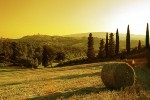 Krajobrazy Smaków - Toskania i Apulia