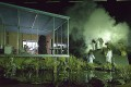Spektakl Swamp Club - Philippe Quesne / Vivarium Studio - polska premiera