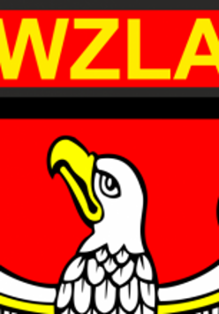 Wielkopolski Związek Lekkiej Atletyki