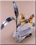 Wręczenie Nagrody im. Arkadego Fiedlera - statuetki Bursztynowego Motyla dla autora najlepszej książki podróżniczej