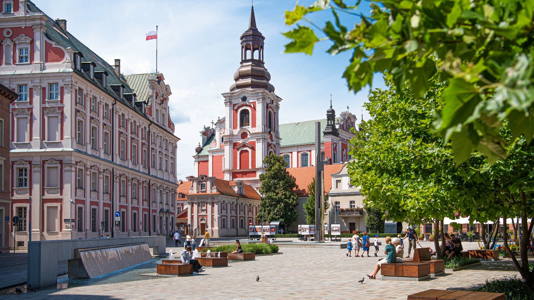 Na zdjeciu plac Kolegiacki, na pierwszym planie drzewa, w tle fara, na placu wypoczywający ludzie