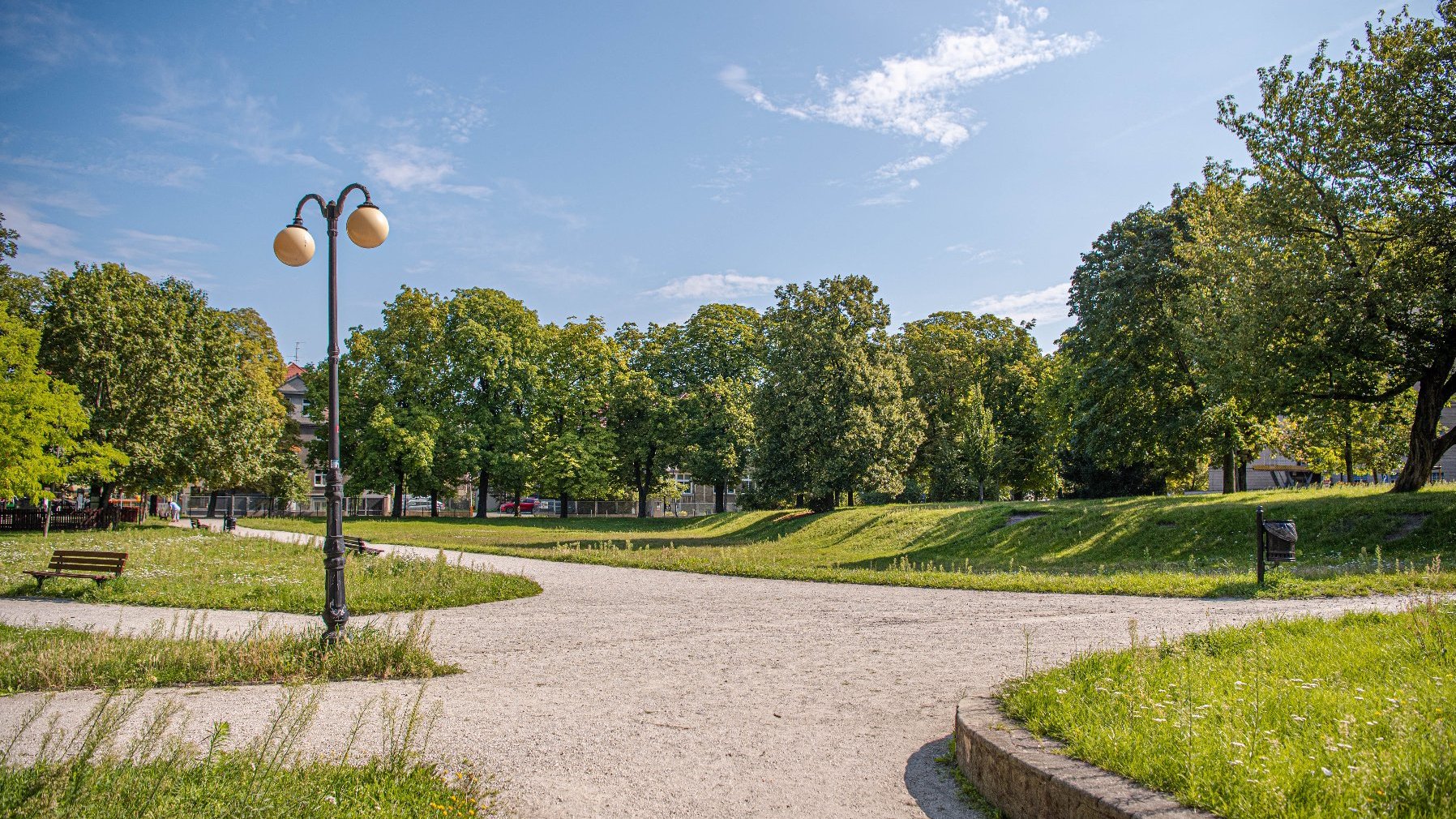 Zdjęcie przedstawia park. Widać na nim zieleń - trawę i drzewa oraz alejki z ławkami, latarniami i koszami na śmieci.