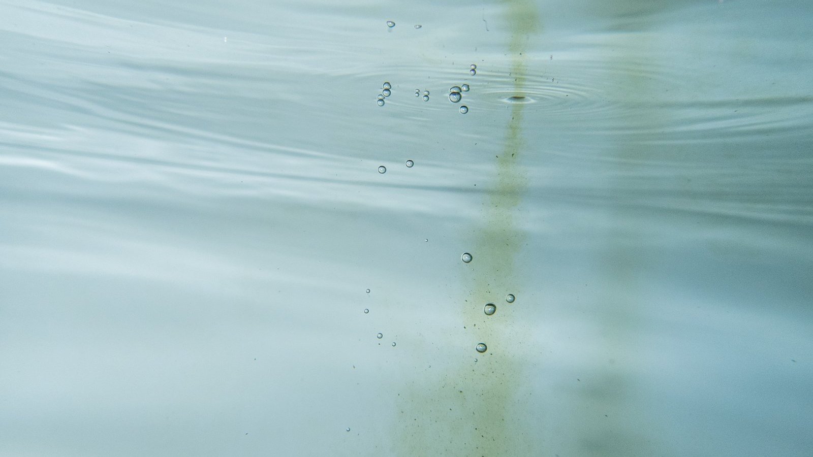 Zdjęcie pod wodą. W wodzie unoszą się bąbelki powietrza.