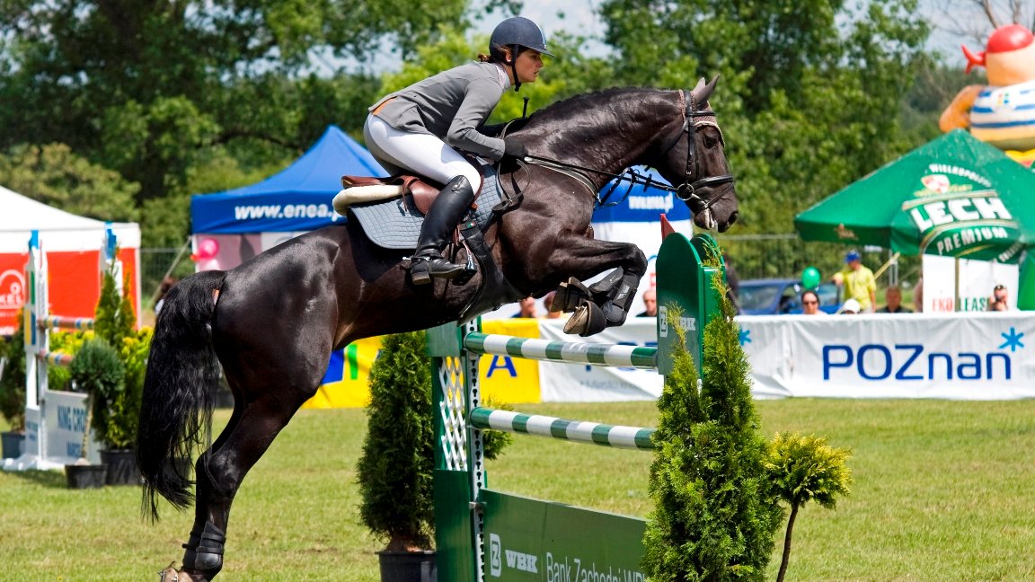 CSI** 2010, autor: Bernard Guziałek