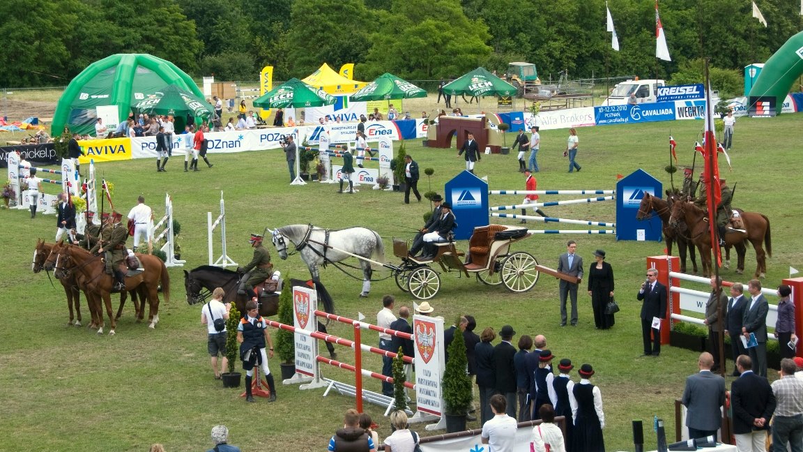 CSI** 2010, autor: Bernard Guziałek