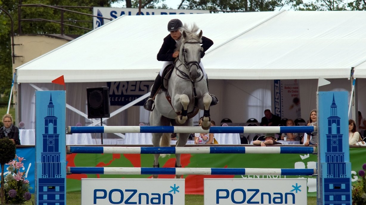 CSI** 2010, autor: Bernard Guziałek