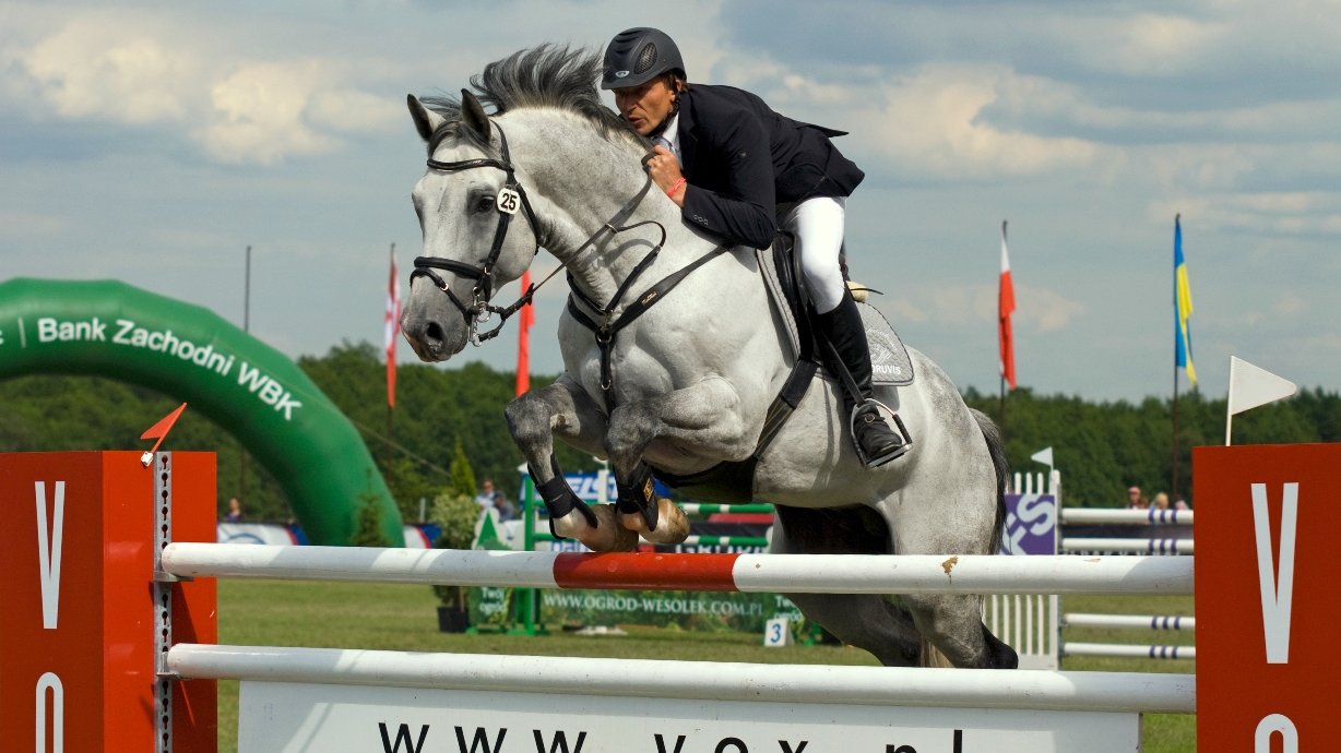 CSI** 2010, autor: Bernard Guziałek