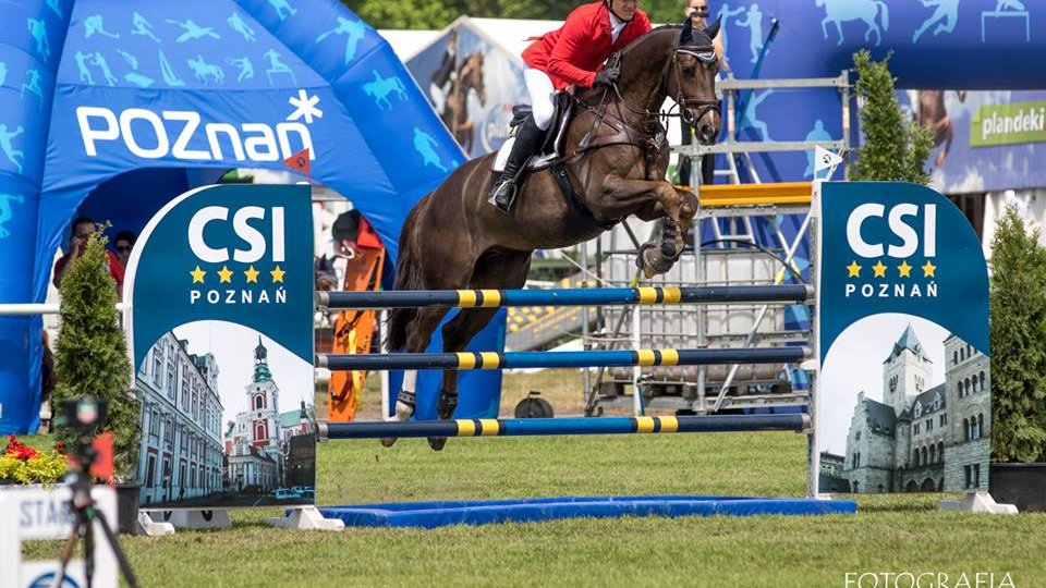 CSI*4 Poznań - Konkurs finałowy Młodych Koni