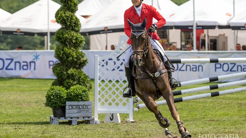 CSI*4 Poznań - Konkurs finałowy Młodych Koni