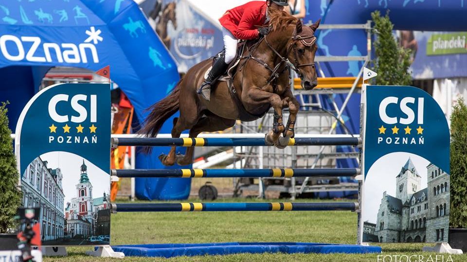 CSI*4 Poznań - Konkurs finałowy Młodych Koni