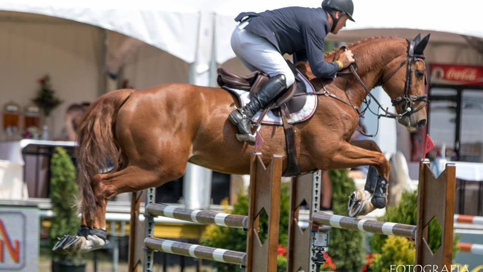 CSI*4 Poznań - Konkurs finałowy Młodych Koni