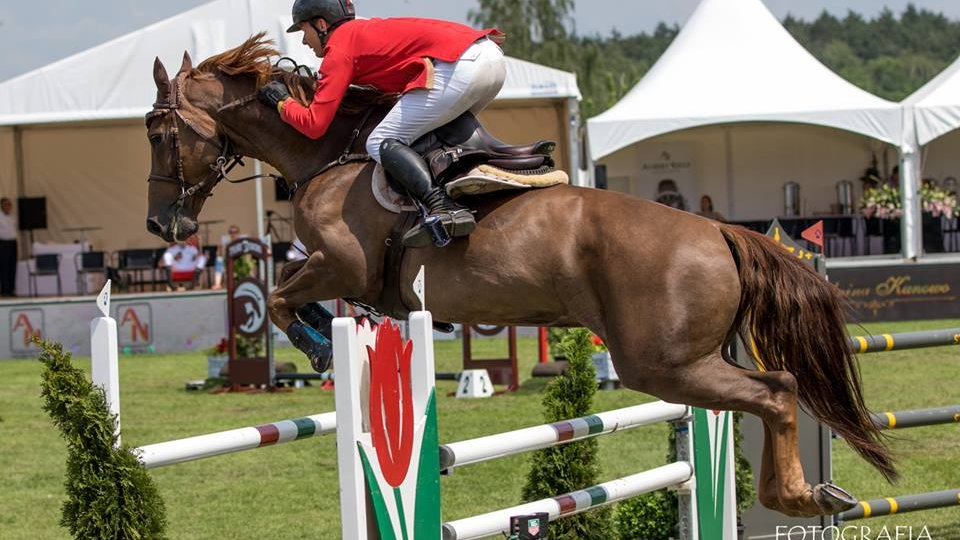 CSI*4 Poznań - Konkurs finałowy Młodych Koni