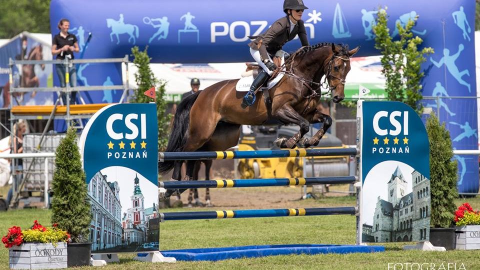 CSI*4 Poznań - Konkurs finałowy Młodych Koni