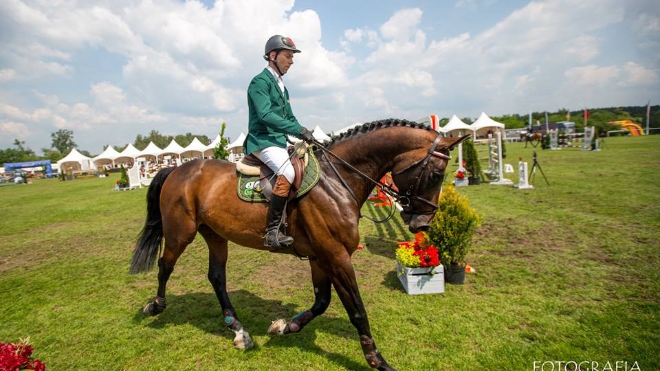 CSI*4 Poznań - Konkurs finałowy Młodych Koni